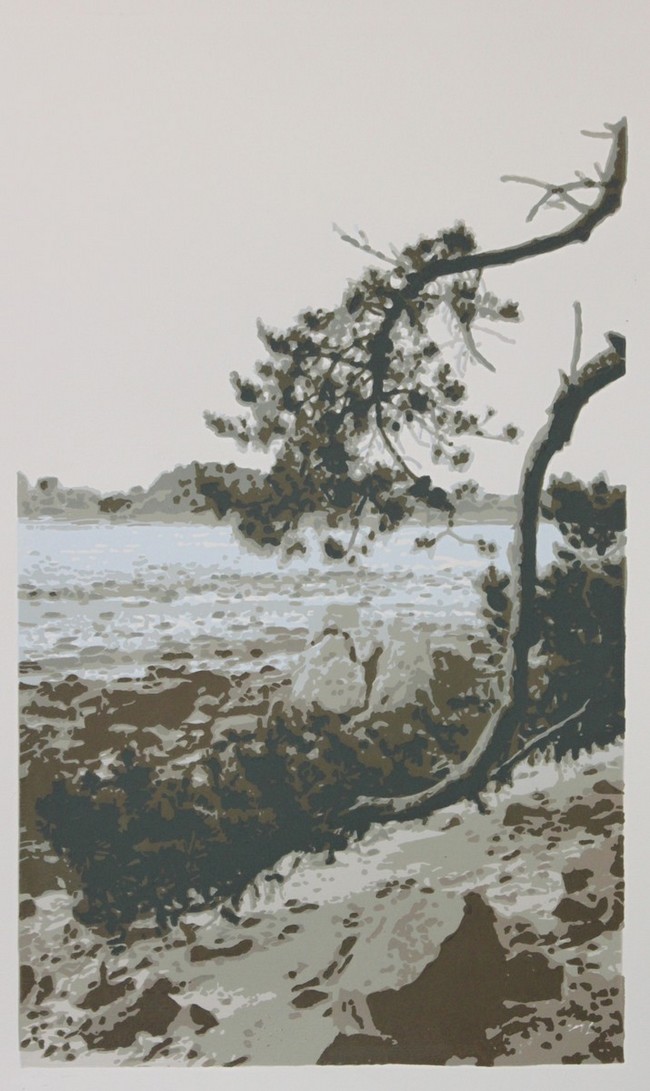 les branches de pin - Marielle Le Fur - Penvenan