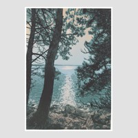 Reflets ensoleillés entre les pins - linogravure à plaque perdue - Marielle Le Fur